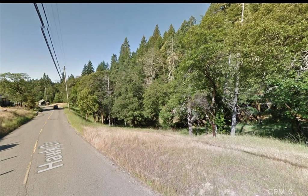 Willits, CA 95490,25932 Hawk DR