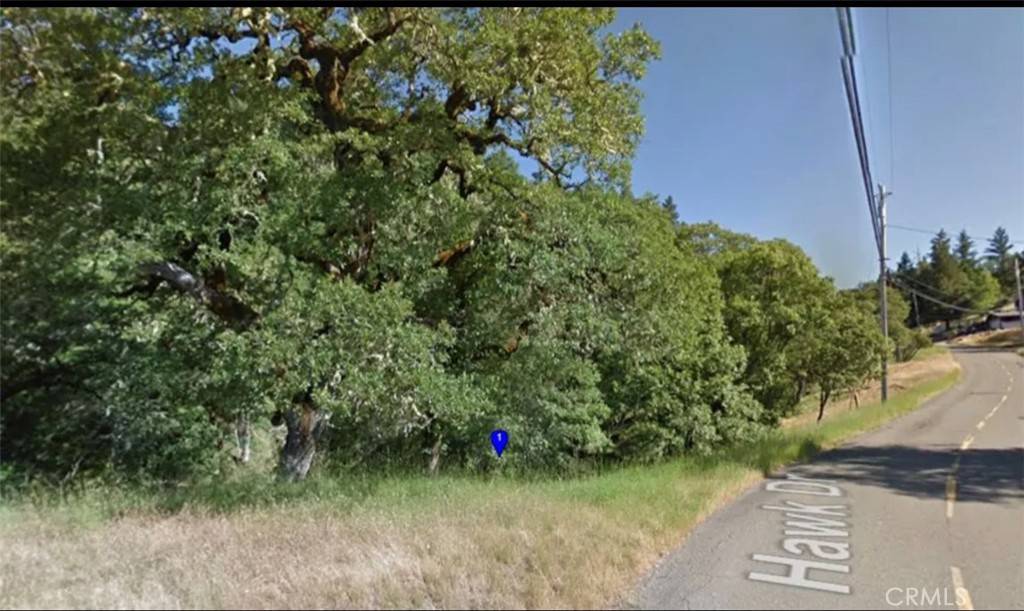 Willits, CA 95490,25932 Hawk DR