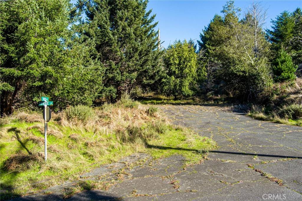 Unincorporated, CA 95589,11 Rich CIR