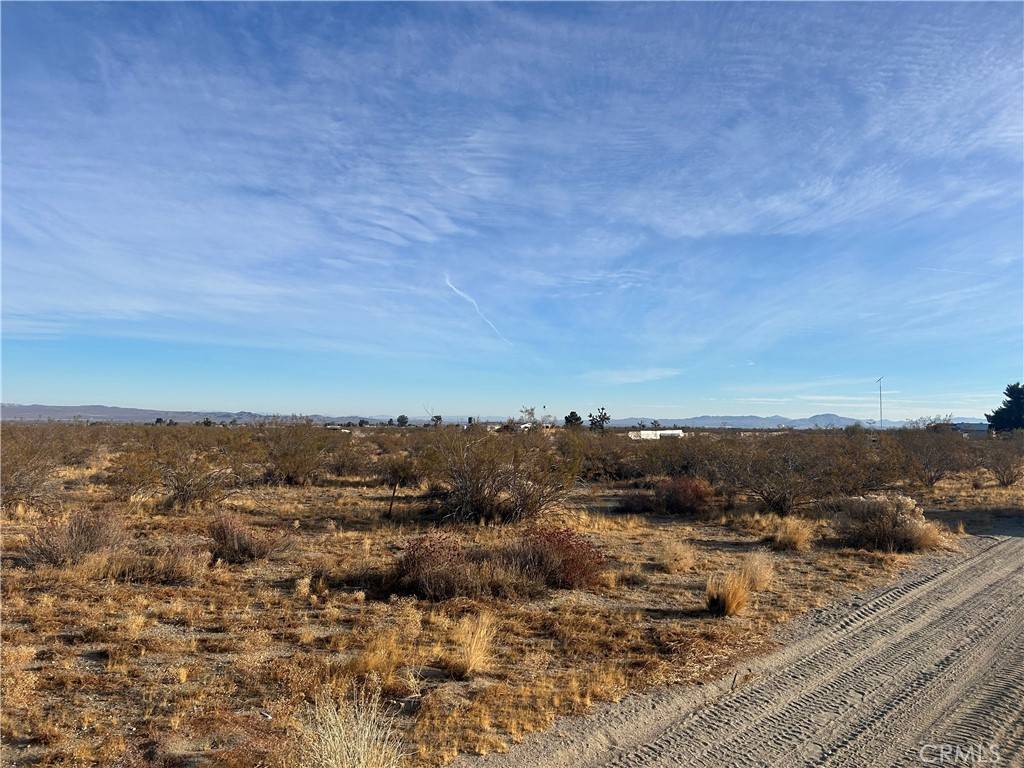 Pinon Hills, CA 92372,0 Dos Palmas RD