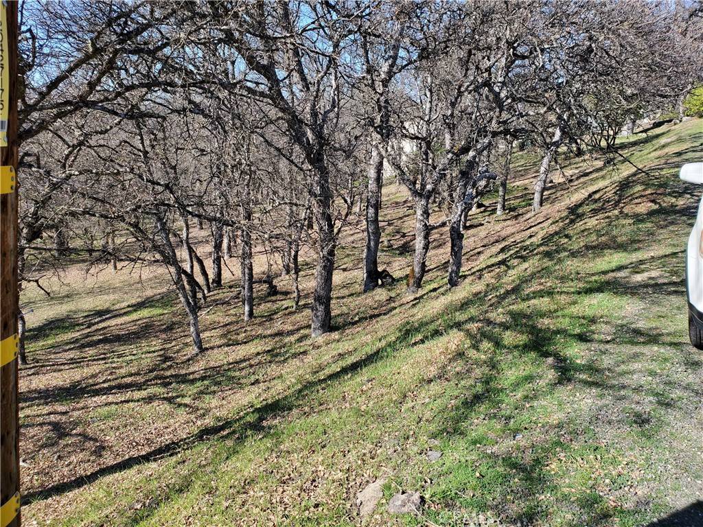 Hidden Valley Lake, CA 95467,19325 Deer Hill RD