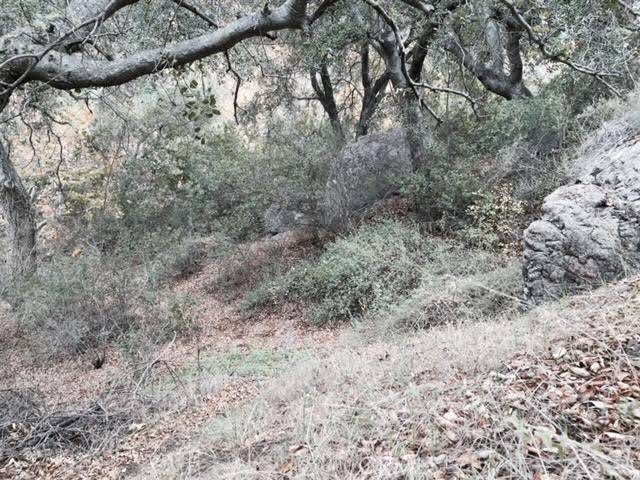Silverado Canyon, CA 92676,0 Silverado Canyon RD
