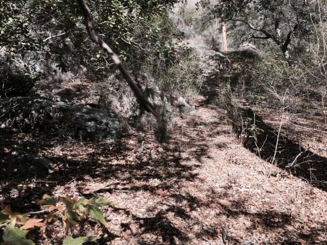 Silverado Canyon, CA 92676,0 Silverado Canyon RD