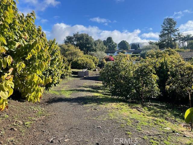 Carpinteria, CA 93013,0 Shepard Mesa RD