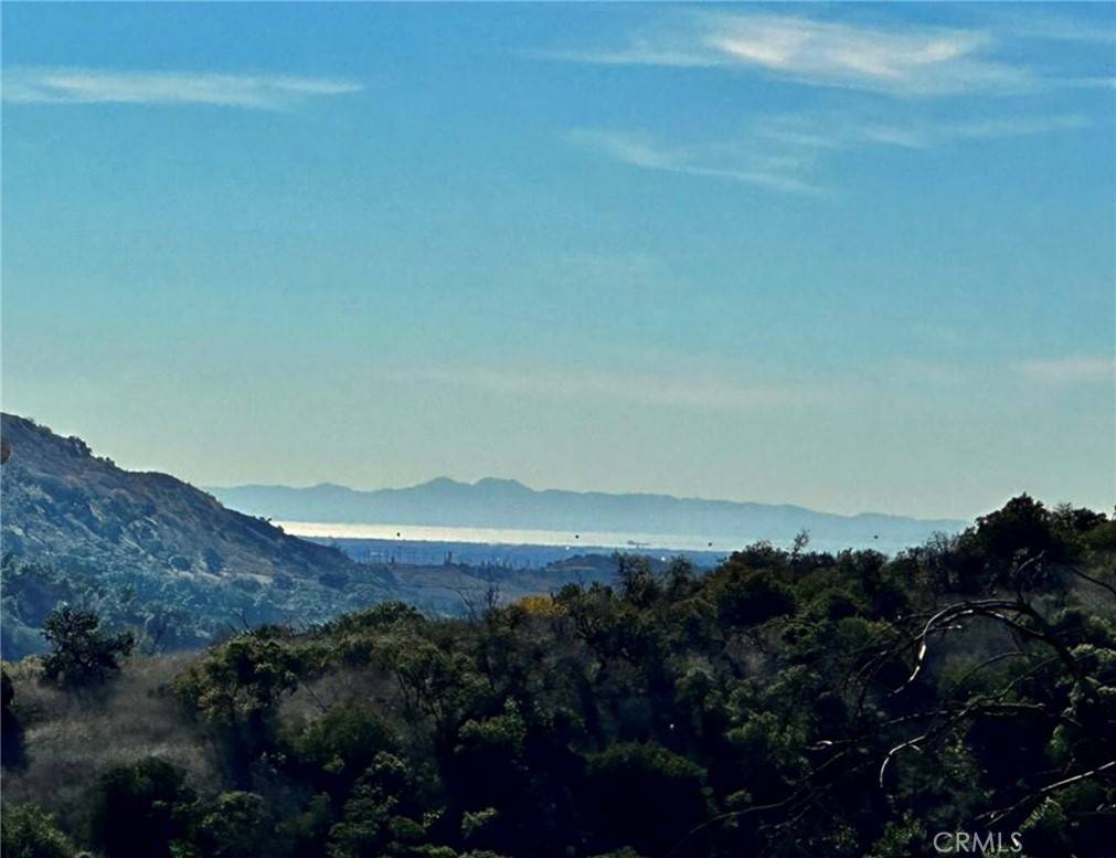 Diamond Bar, CA 91765,2695 Shady Ridge LN
