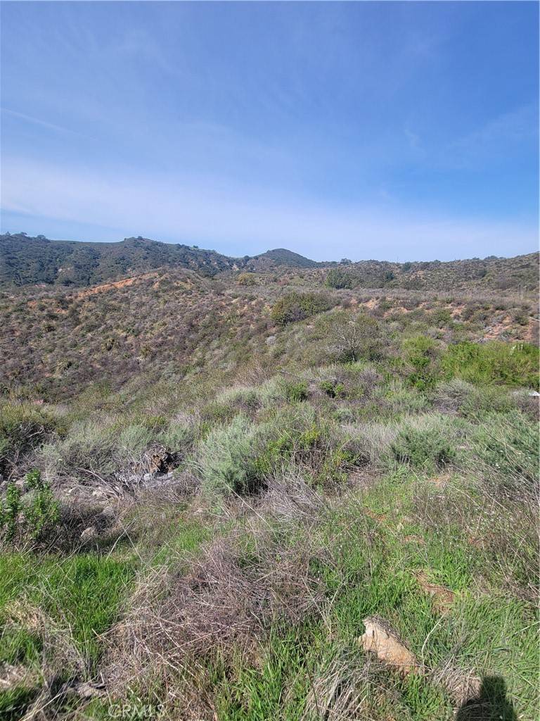 Trabuco Canyon, CA 92679,0 Hunky Dory