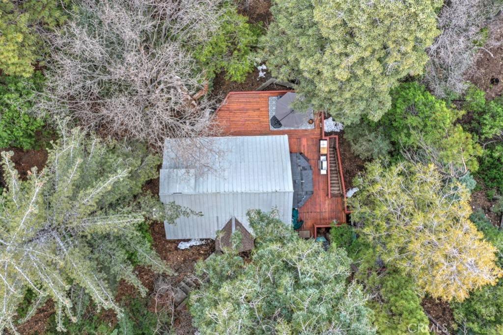 Twin Peaks, CA 92391,582 Rose LN