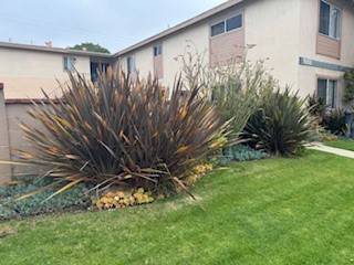 Costa Mesa, CA 92626,988 Valencia ST #4