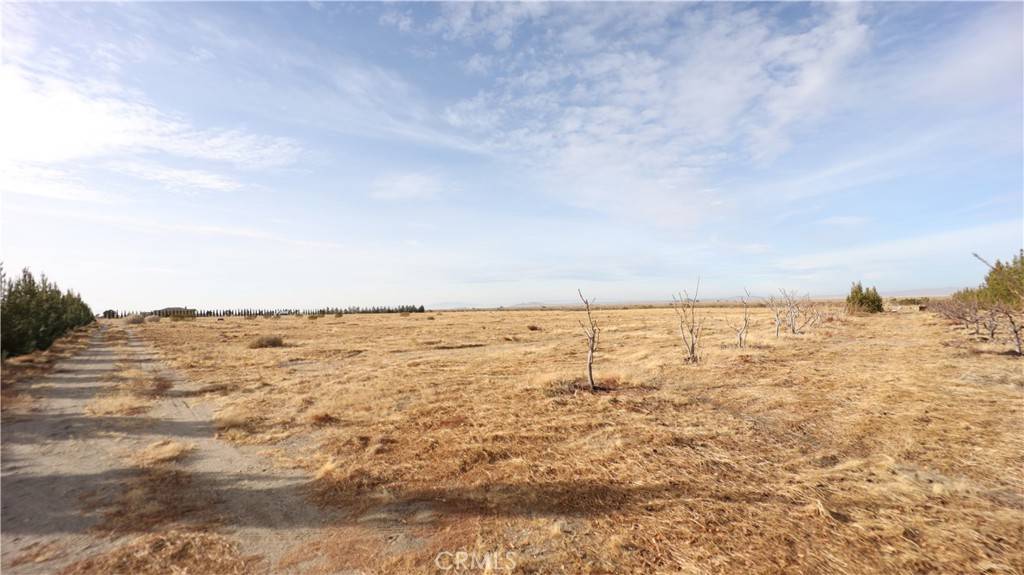 Pinon Hills, CA 92372,3002 Estero RD
