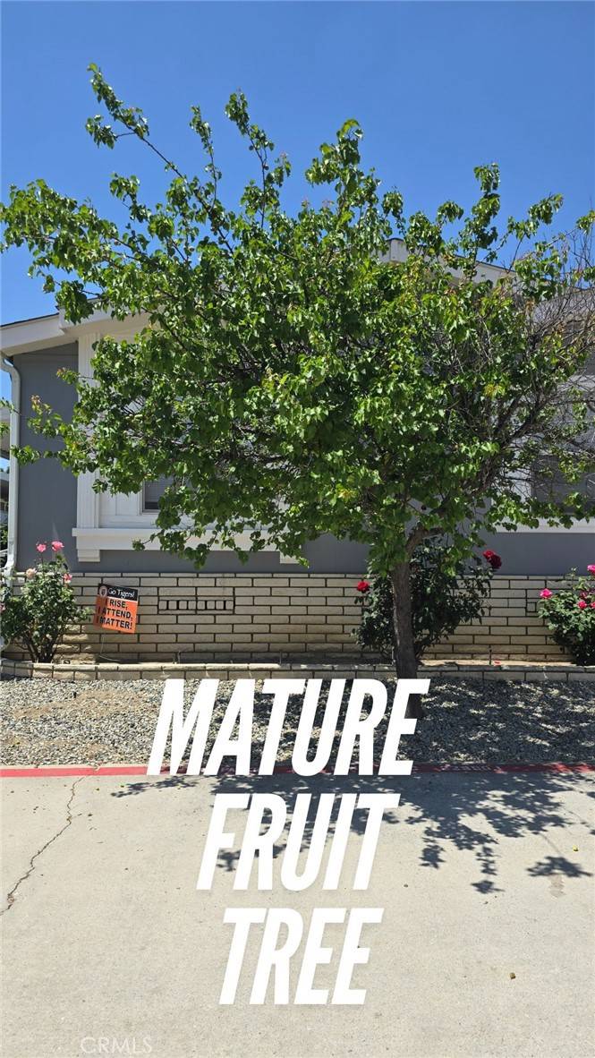 San Jacinto, CA 92582,913 S Grand AVE #36