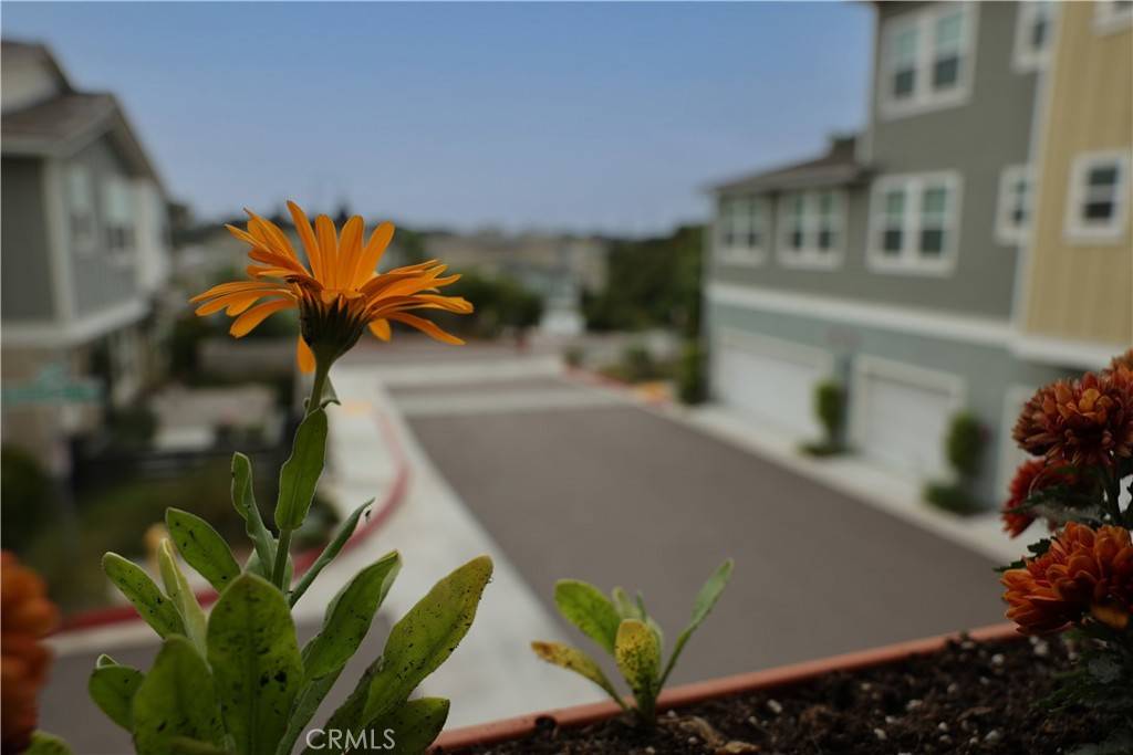 Oceanside, CA 92054,1104 Hibiscus WAY