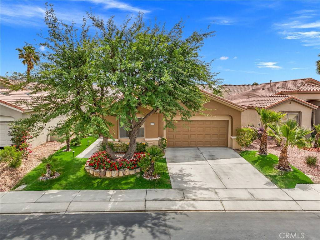 Palm Desert, CA 92211,37388 Medjool