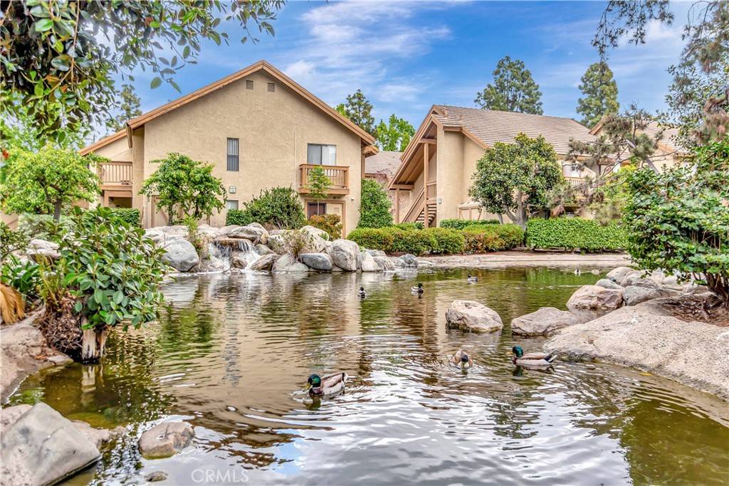 Irvine, CA 92618,224 Tangelo #372