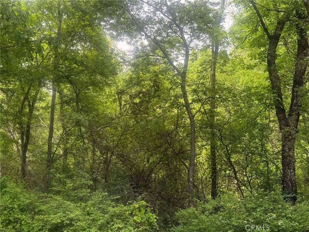 Outside Area (outside Ca), AR 71913,180 Peachwood ST