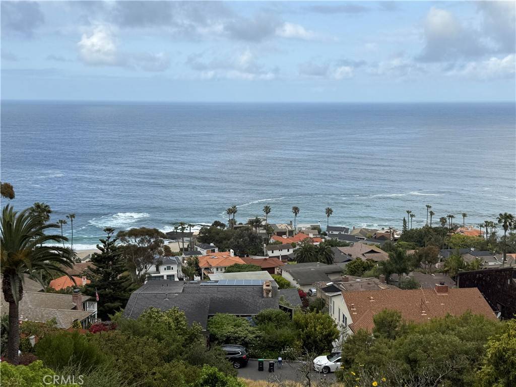 Laguna Beach, CA 92651,31204 Ceanothus
