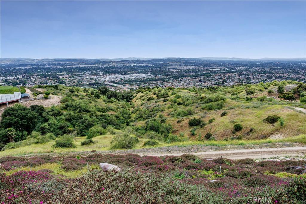 La Verne, CA 91750,350 Roughrider RD