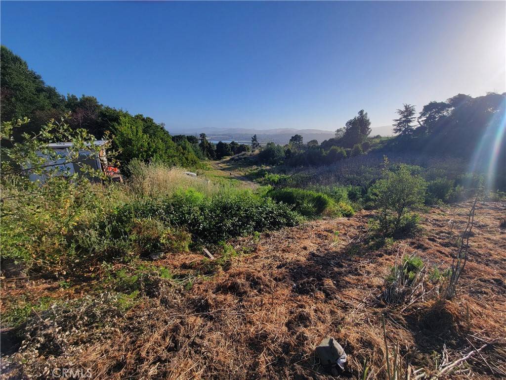 Vallejo, CA 94590,110 Harrier Ave