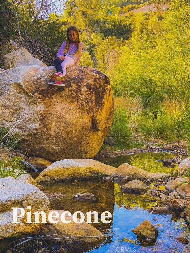Running Springs, CA 92382,1 Fredalba Road