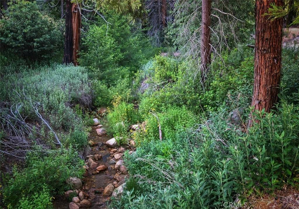 Running Springs, CA 92382,1 Fredalba Road