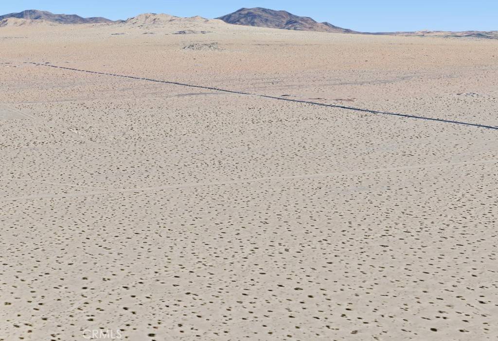 Lucerne Valley, CA 92356,0 Squaw Bush