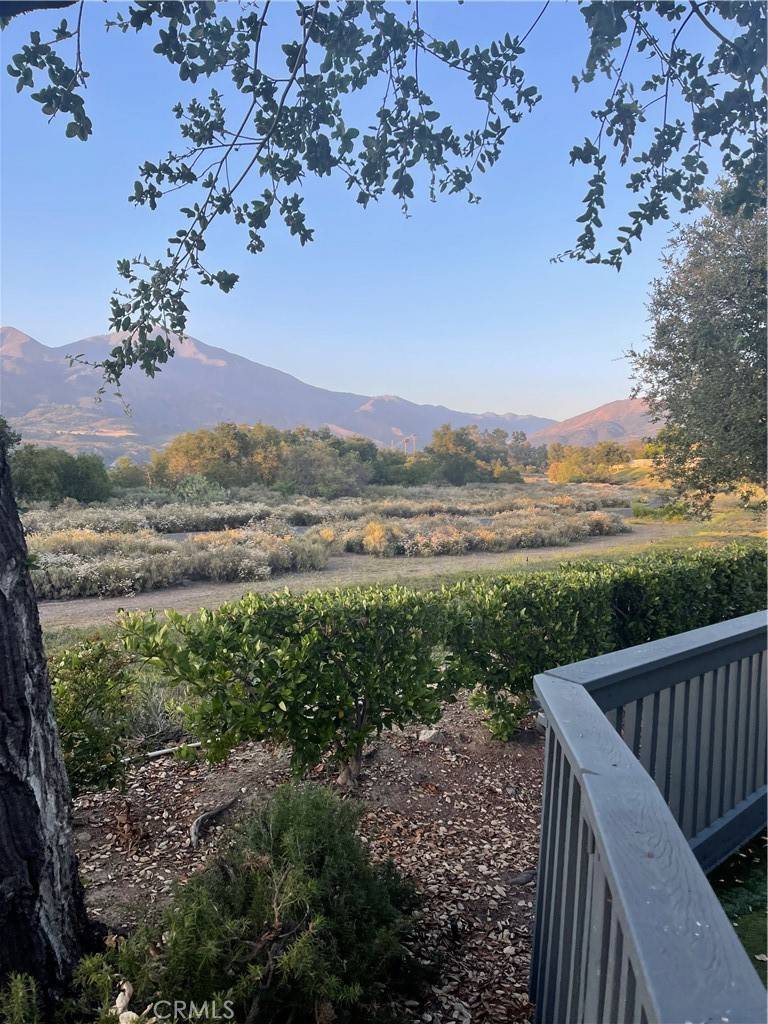 Rancho Santa Margarita, CA 92688,21 Lobelia