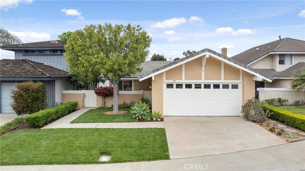 Irvine, CA 92604,29 Blackswan