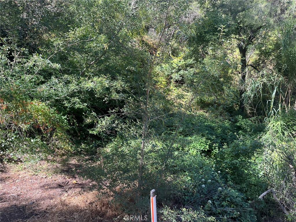 Silverado, CA 92676,14875 Mill RD