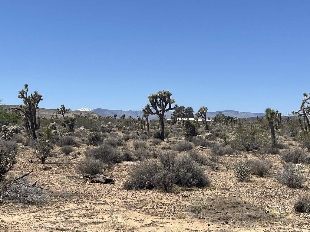 Landers, CA 92285,171 Yucca Mesa RD