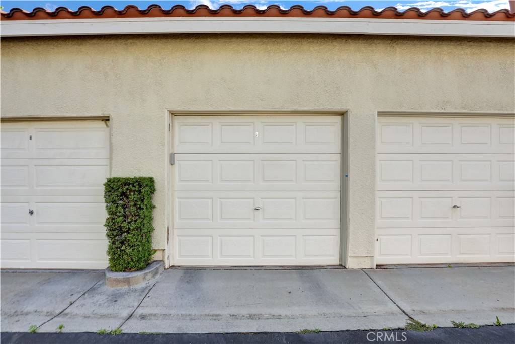 Aliso Viejo, CA 92656,94 Cinnamon Teal