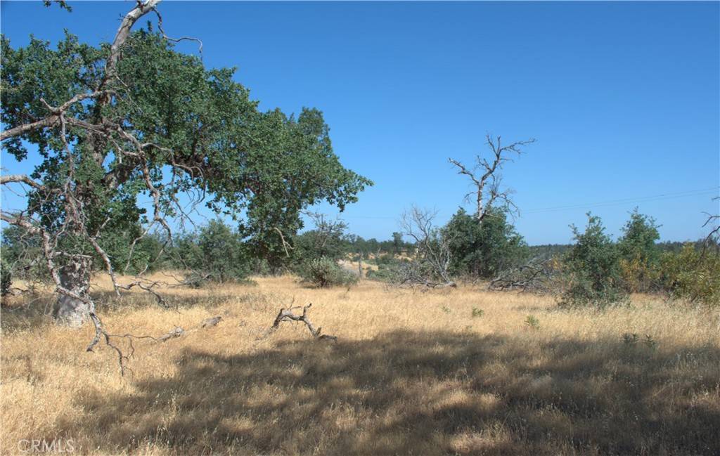 Igo, CA 96047,0 Small Farms DR