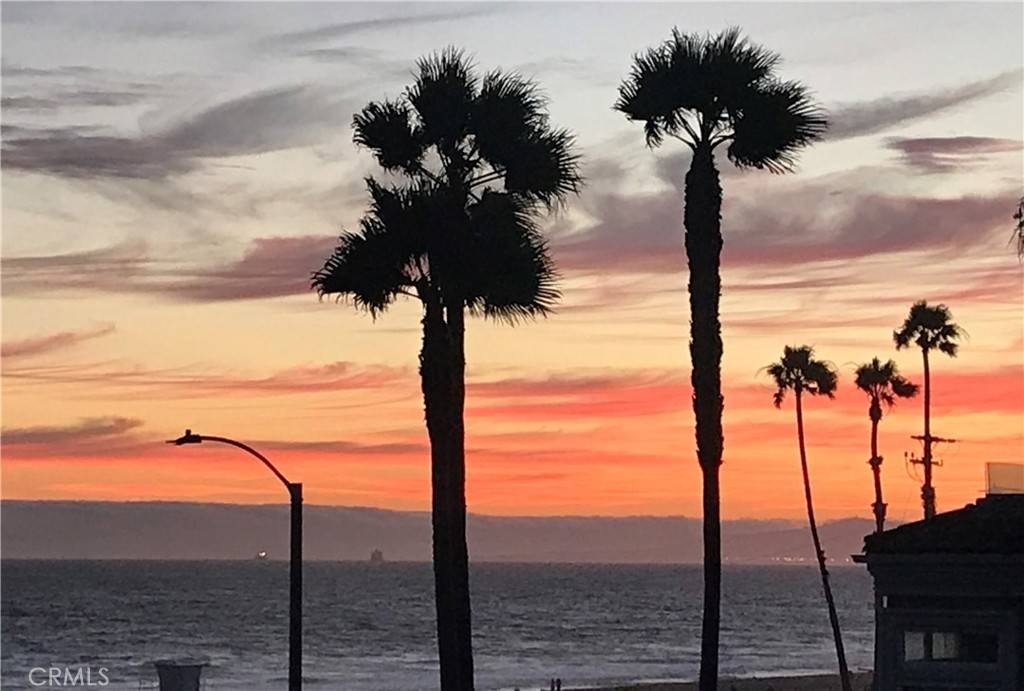 Huntington Beach, CA 92649,2000 Pacific Coast Highway #313