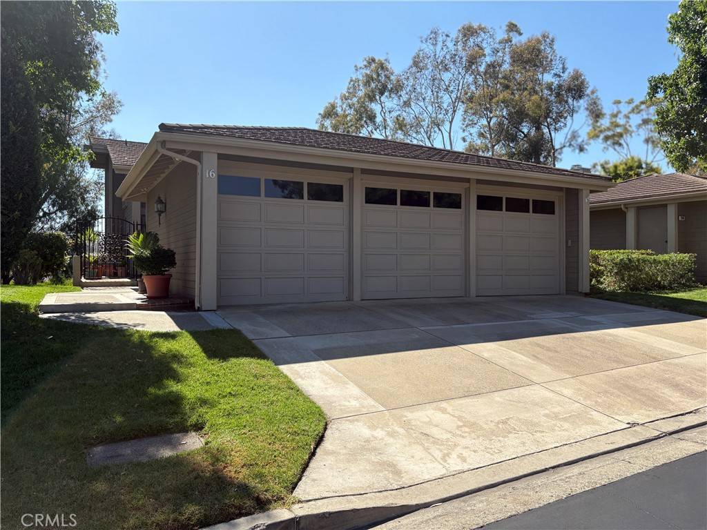 Irvine, CA 92603,16 Morning Glory