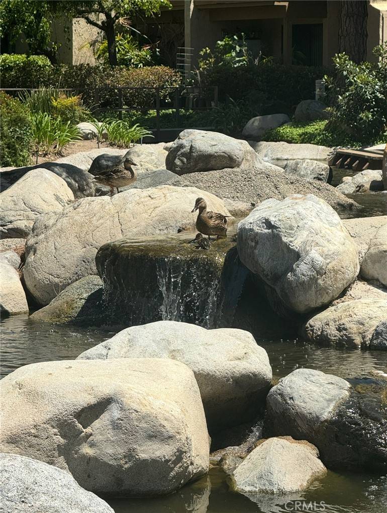 Irvine, CA 92618,124 Tangelo #390