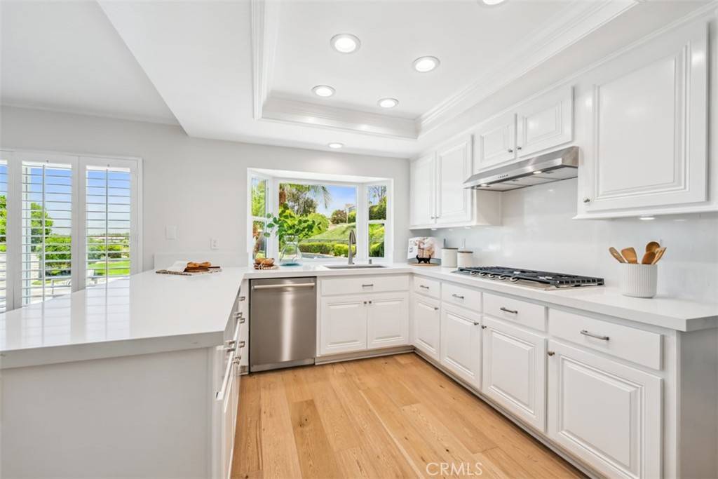 Laguna Niguel, CA 92677,9 Phillips Circle