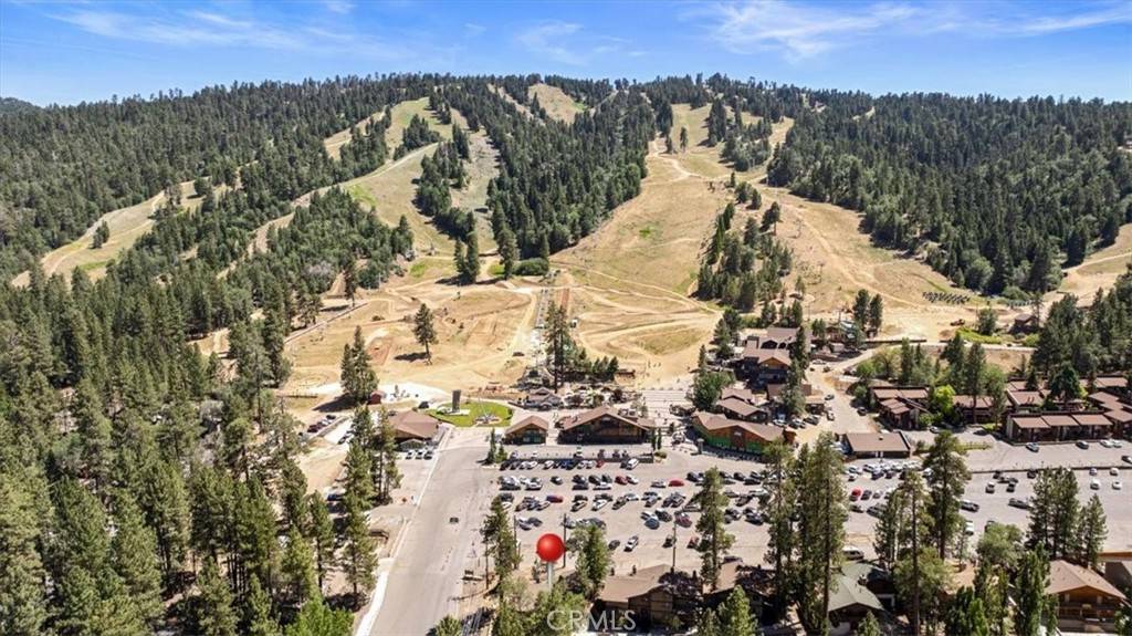 Big Bear Lake, CA 92315,41865 Switzerland DR #8