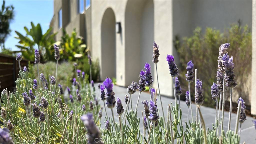 Irvine, CA 92618,610 Cultivate