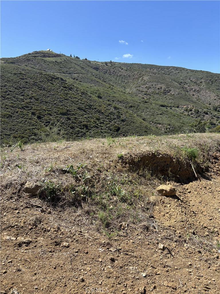 Malibu, CA 90265,12110 Yellow Hill RD