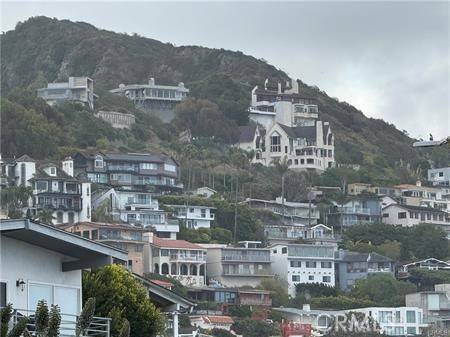 Laguna Beach, CA 92651,31204 Ceanothus DR