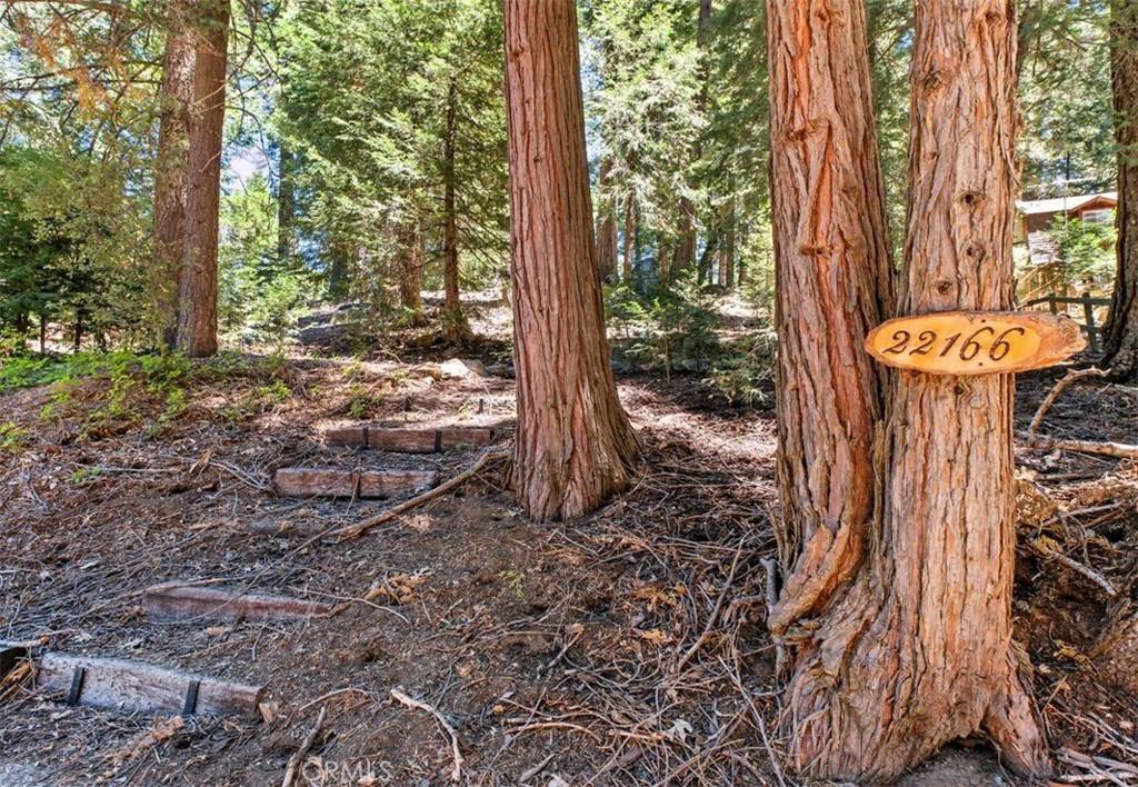 Palomar Mountain, CA 92060,22166 Crestline RD