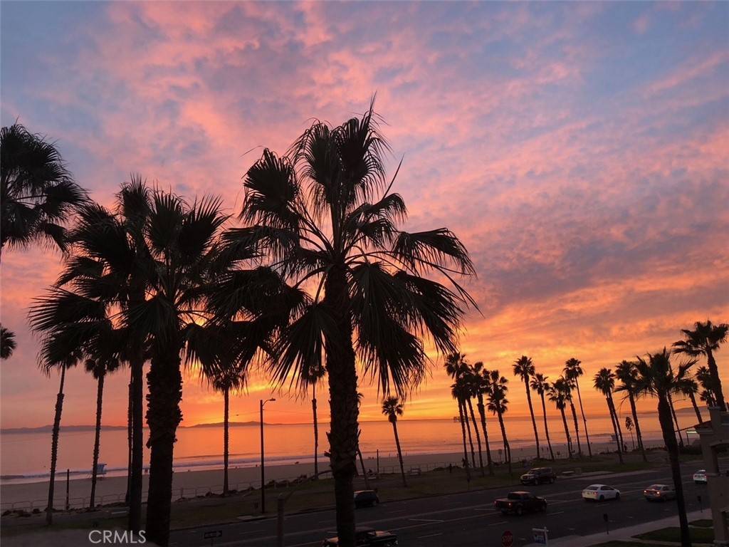 Huntington Beach, CA 92648,1516 Pacific Coast #304