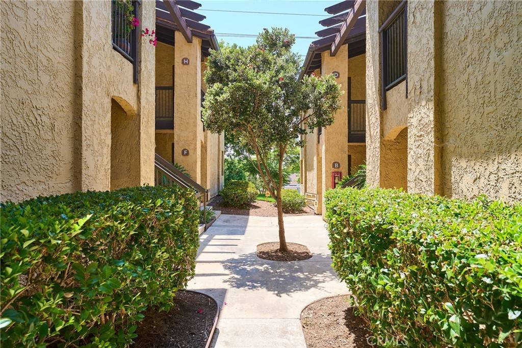 Laguna Hills, CA 92653,25591 Indian Hill LN #E