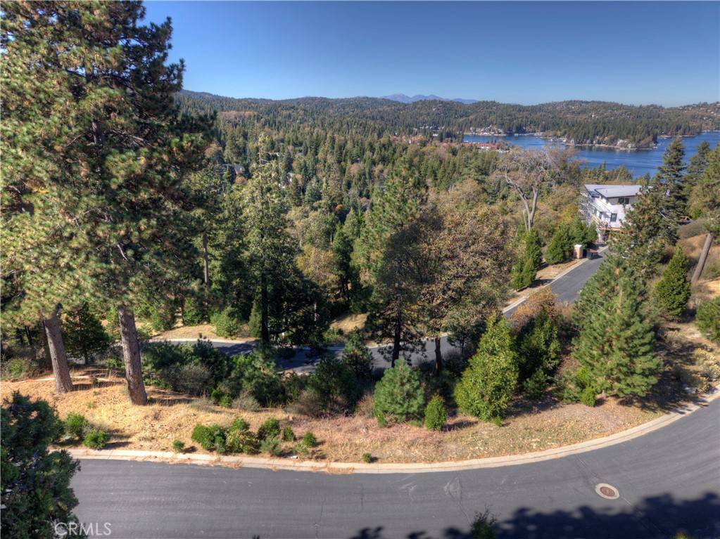 Lake Arrowhead, CA 92352,115 Mill Pond