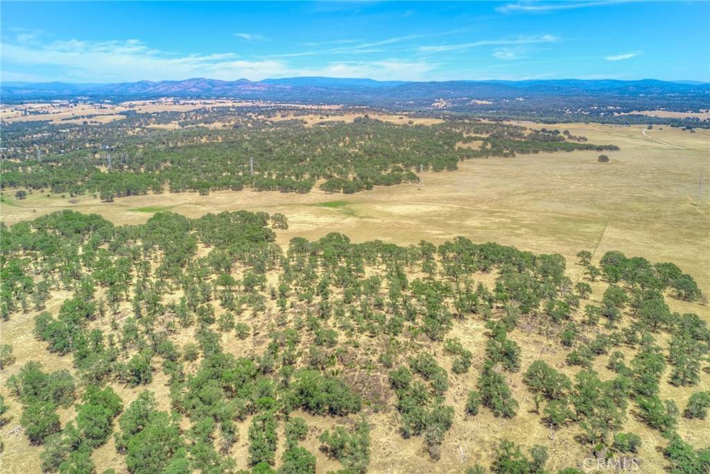 Oroville, CA 95965,0 Cox LN