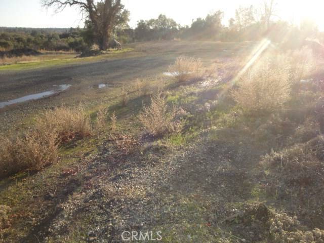 Oroville, CA 95966,4288 Olive