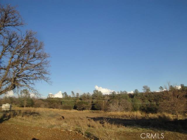 Oroville, CA 95966,4288 Olive