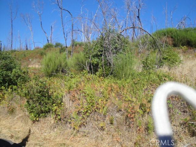 Berry Creek, CA 95916,0 Meadow LN