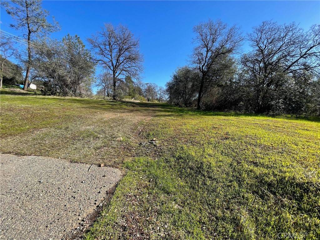 Oroville, CA 95966,0 Olive