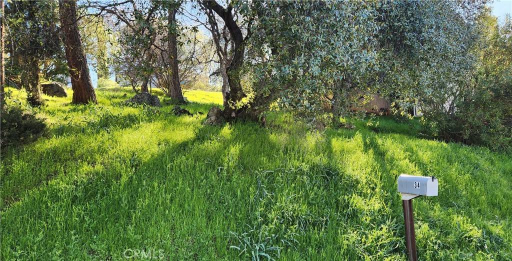 Oroville, CA 95966,0 La Foret DR