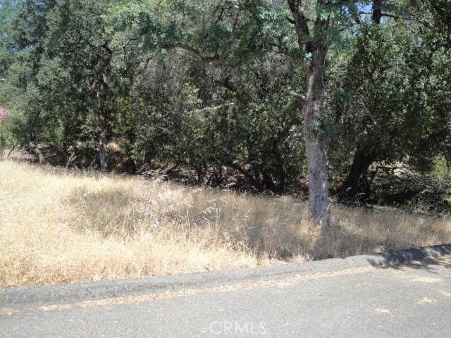 Oroville, CA 95966,586 Silver Leaf DR