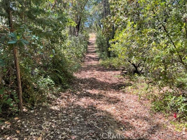 Oroville, CA 95966,12 Broken Springs RD